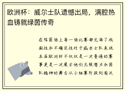 欧洲杯：威尔士队遗憾出局，满腔热血铸就绿茵传奇