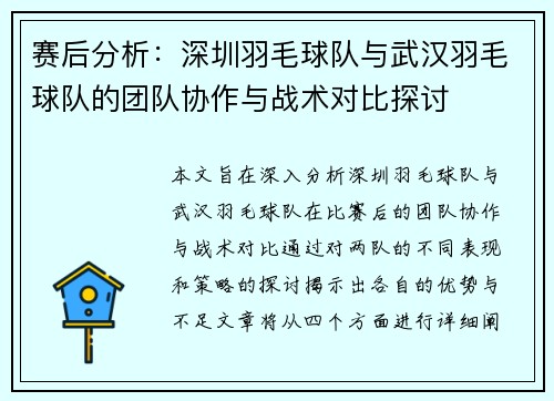赛后分析：深圳羽毛球队与武汉羽毛球队的团队协作与战术对比探讨